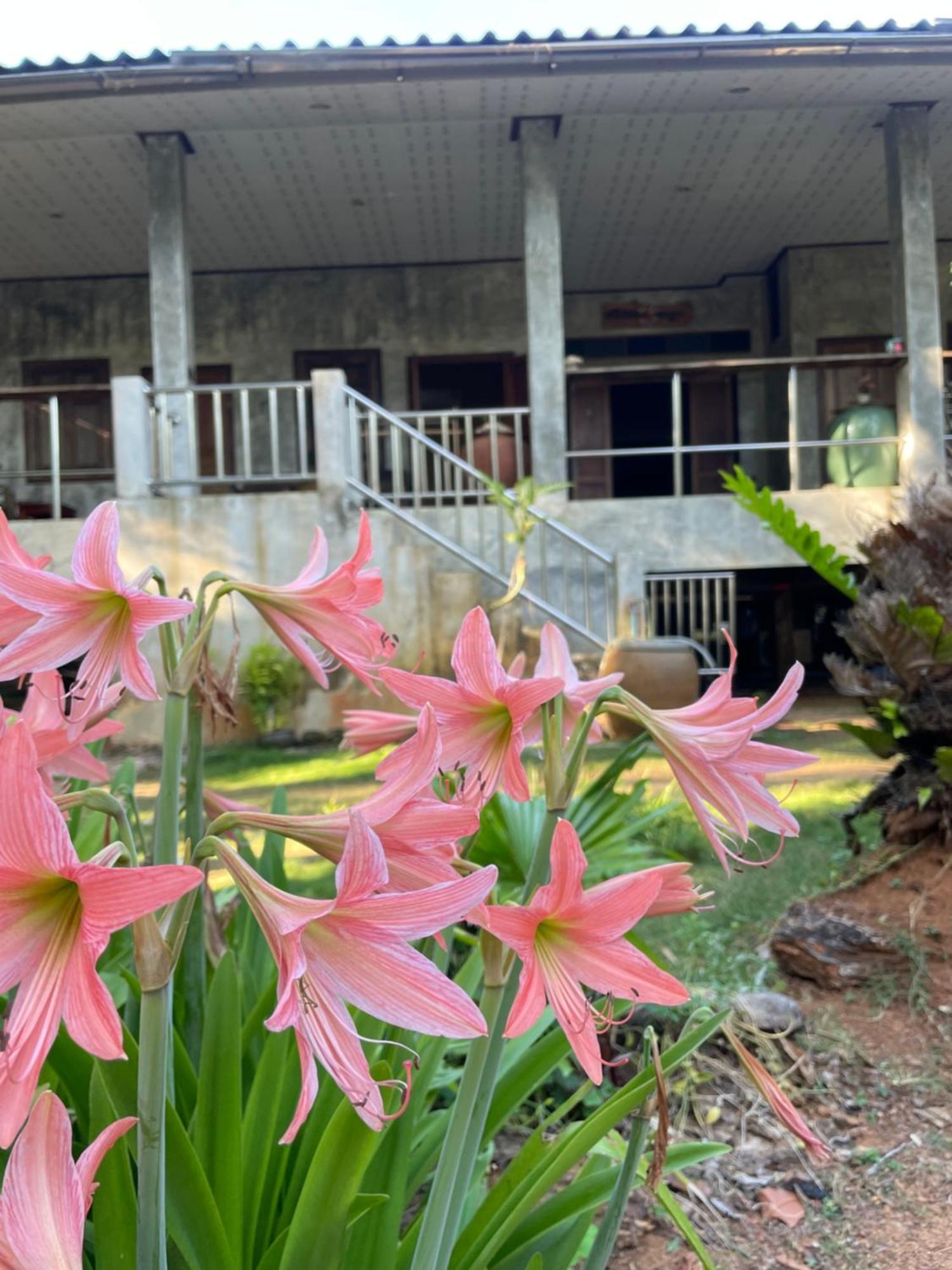 Baanyaiguesthouse 麦岛 外观 照片