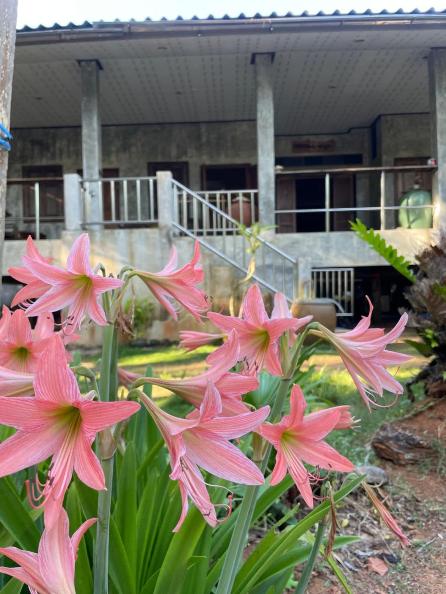Baanyaiguesthouse 麦岛 外观 照片