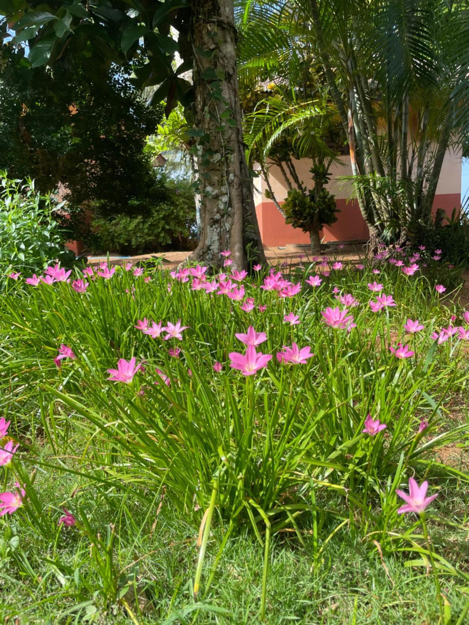 Baanyaiguesthouse 麦岛 外观 照片